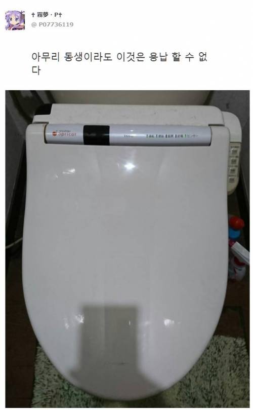 toilet01.jpg