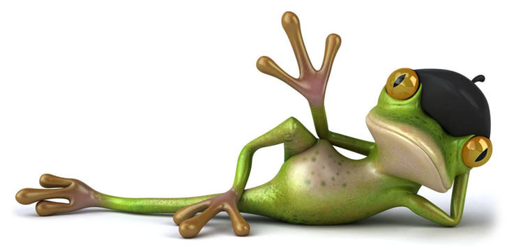 frog01.jpg