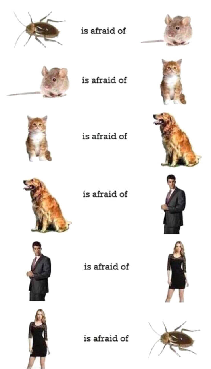 afraid01.jpg